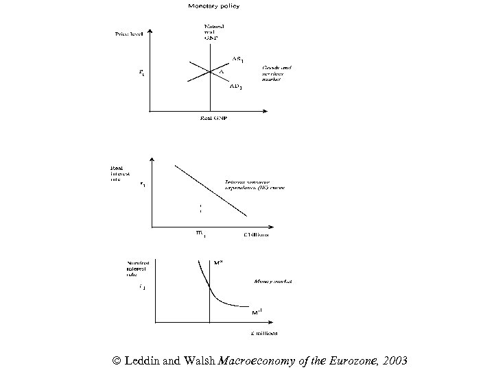  Leddin and Walsh Macroeconomy of the Eurozone, 2003 
