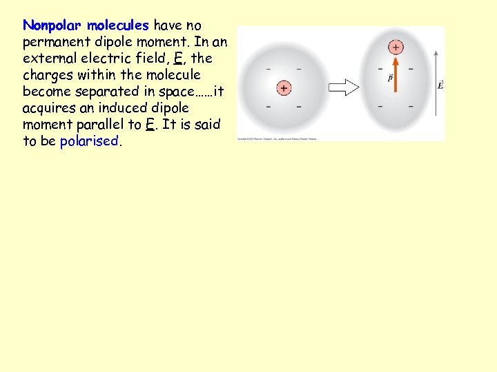 Nonpolar molecules have no permanent dipole moment. In an external electric field, E, the