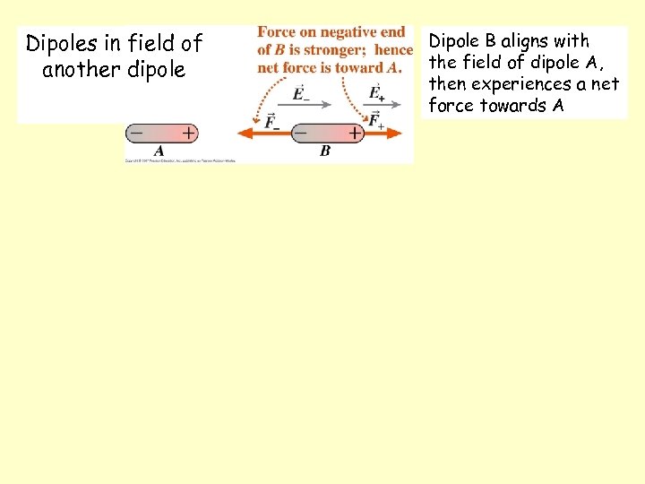 Dipoles in field of another dipole Dipole B aligns with the field of dipole