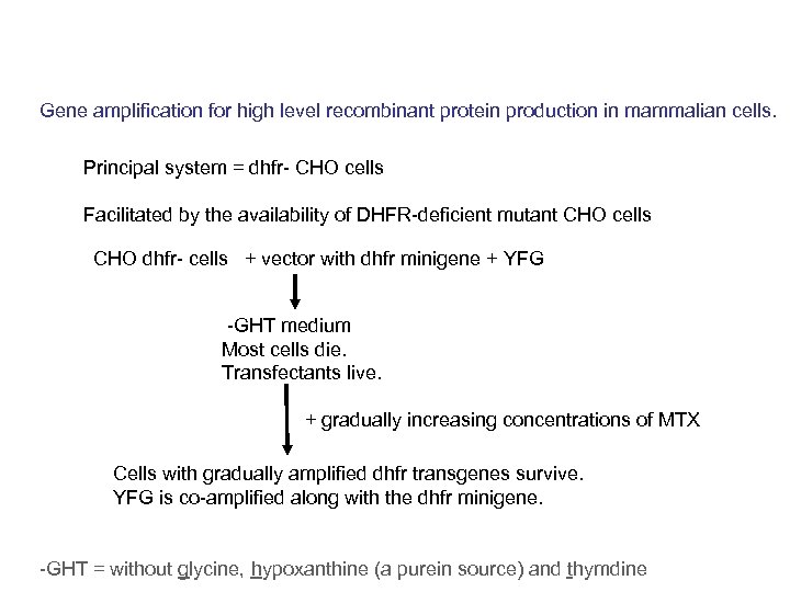 Gene amplification for high level recombinant protein production in mammalian cells. Principal system =