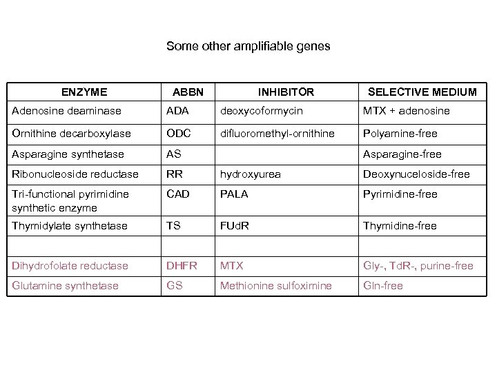 Some other amplifiable genes ENZYME ABBN INHIBITOR SELECTIVE MEDIUM Adenosine deaminase ADA deoxycoformycin MTX