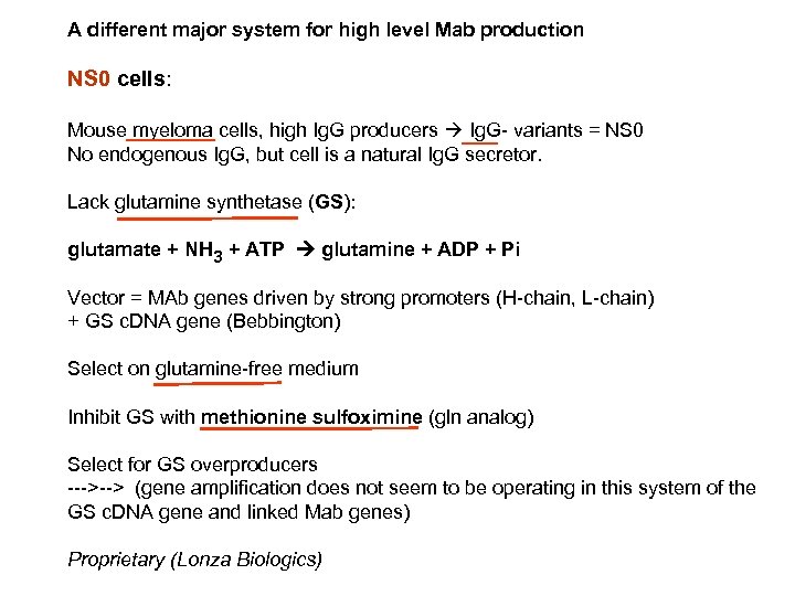 A different major system for high level Mab production NS 0 cells: Mouse myeloma