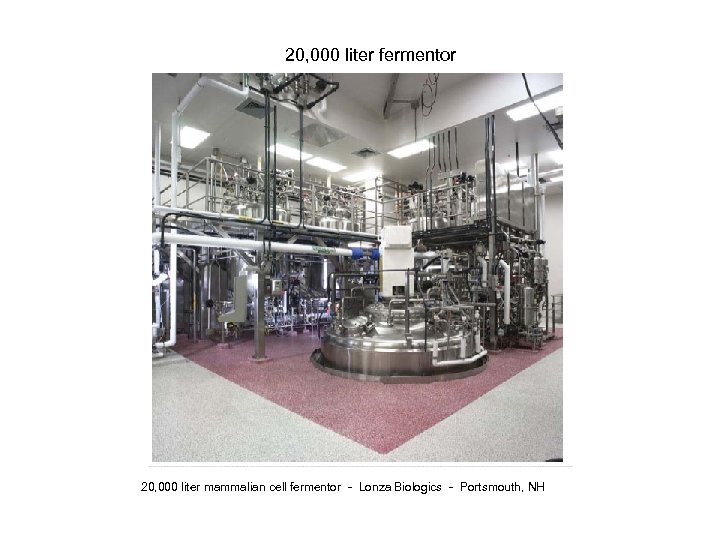 20, 000 liter fermentor 20, 000 liter mammalian cell fermentor - Lonza Biologics -