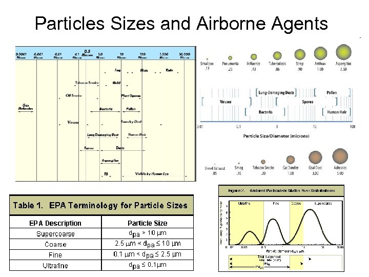 Particles Sizes and Airborne Agents 