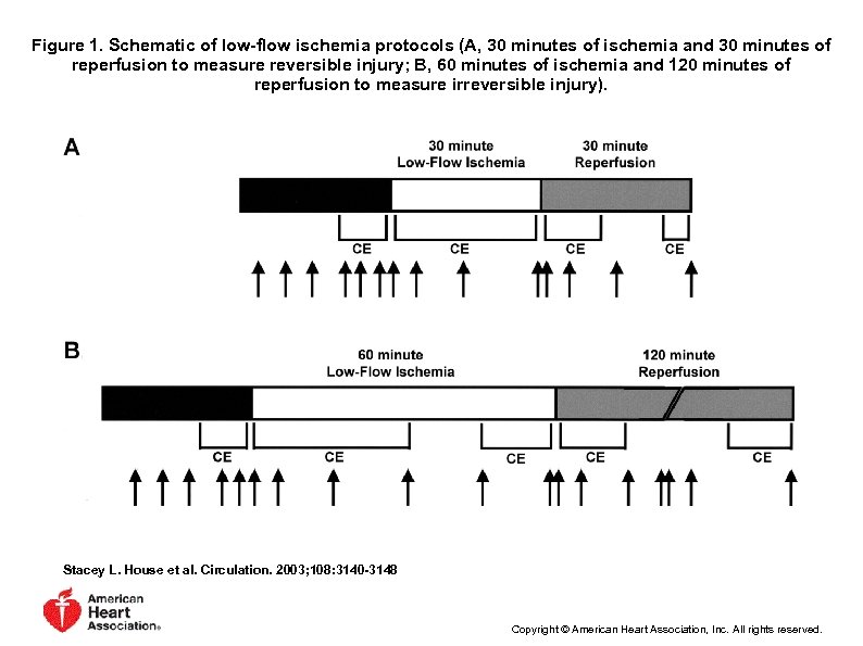 Figure 1. Schematic of low-flow ischemia protocols (A, 30 minutes of ischemia and 30