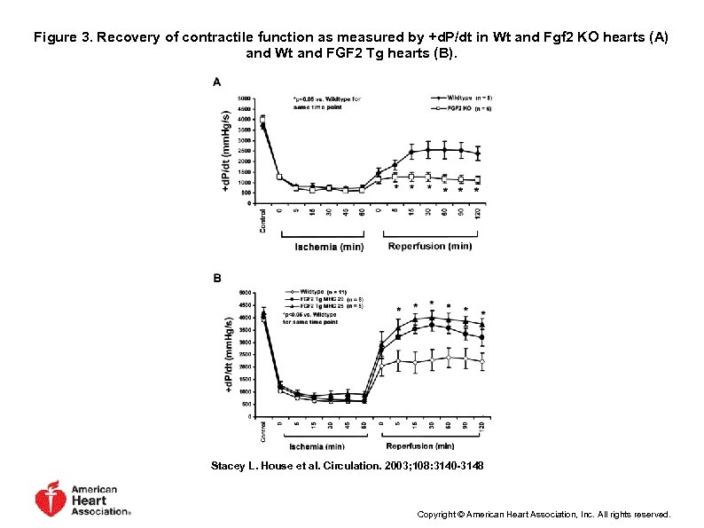 Figure 3. Recovery of contractile function as measured by +d. P/dt in Wt and