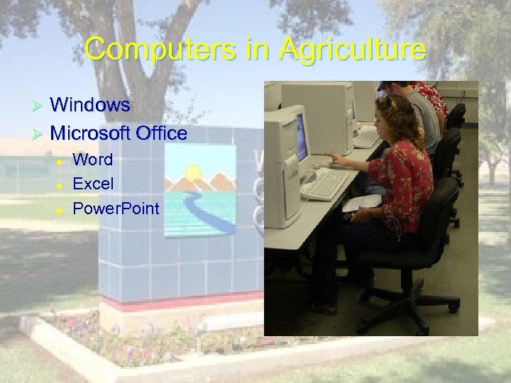Computers in Agriculture Windows Ø Microsoft Office Ø l l l Word Excel Power.
