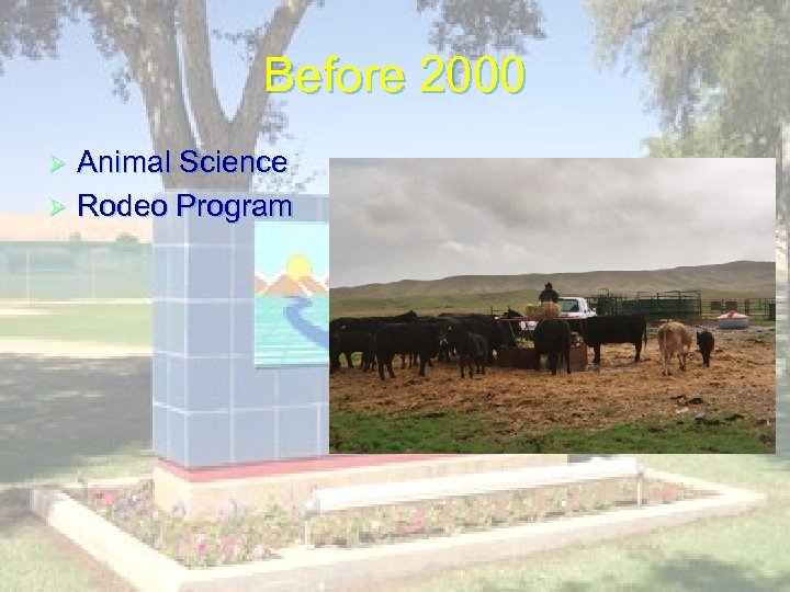 Before 2000 Animal Science Ø Rodeo Program Ø 