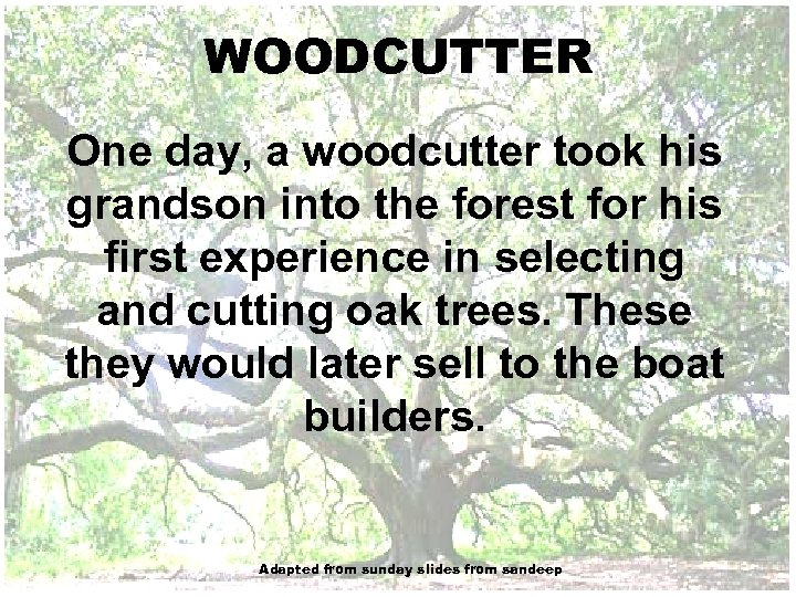 WOODCUTTER One day, a woodcutter took his grandson into the forest for his first