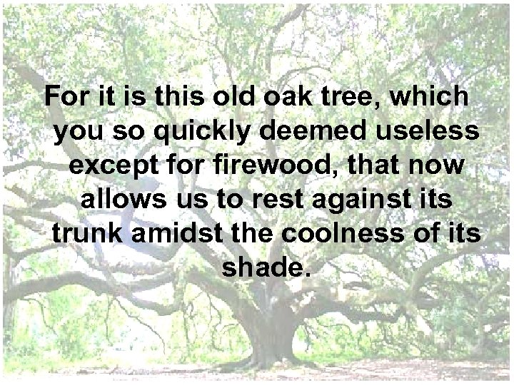 For it is this old oak tree, which you so quickly deemed useless except