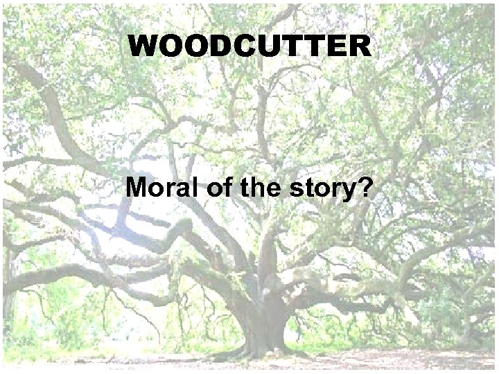 WOODCUTTER Moral of the story? 