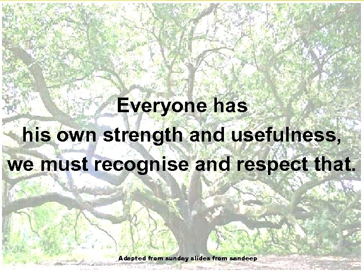 Everyone has his own strength and usefulness, we must recognise and respect that. Adapted