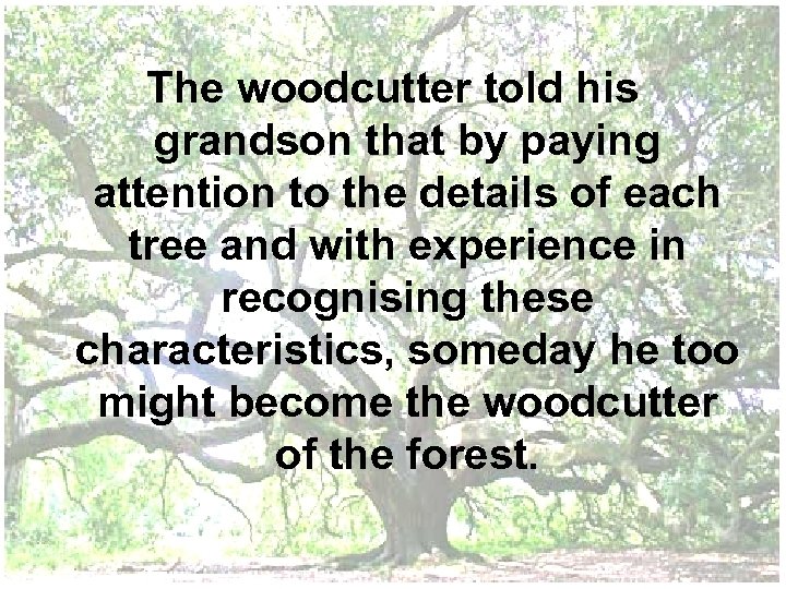 The woodcutter told his grandson that by paying attention to the details of each