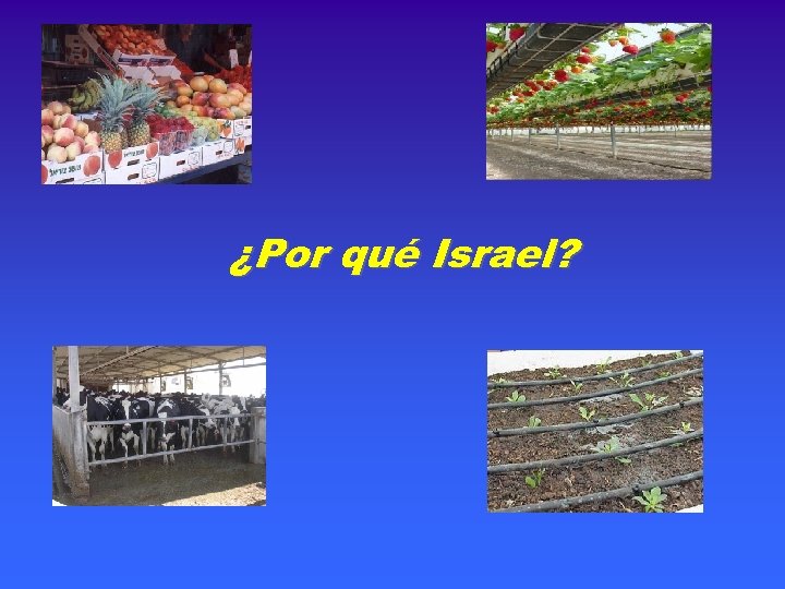 ¿Por qué Israel? 