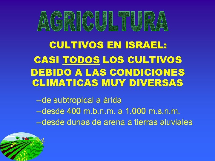 CULTIVOS EN ISRAEL: CASI TODOS LOS CULTIVOS DEBIDO A LAS CONDICIONES CLIMATICAS MUY DIVERSAS