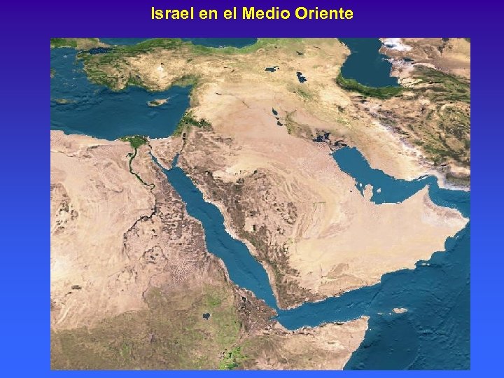 Israel en el Medio Oriente 