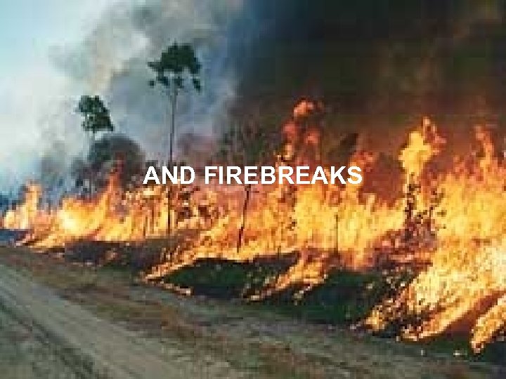 AND FIREBREAKS 