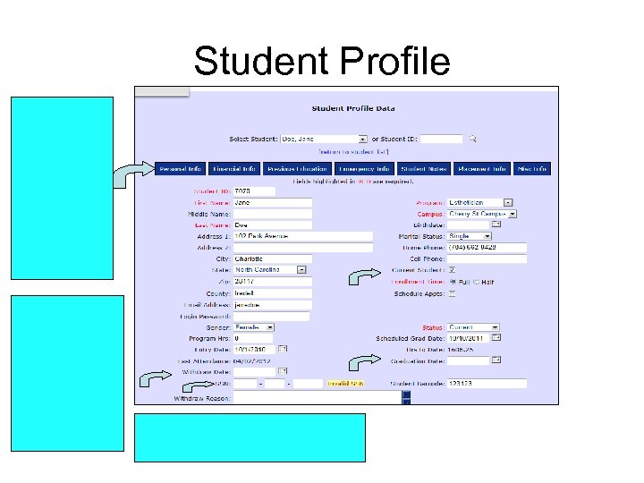 Student Profile 