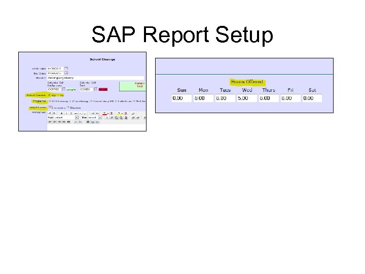 SAP Report Setup 