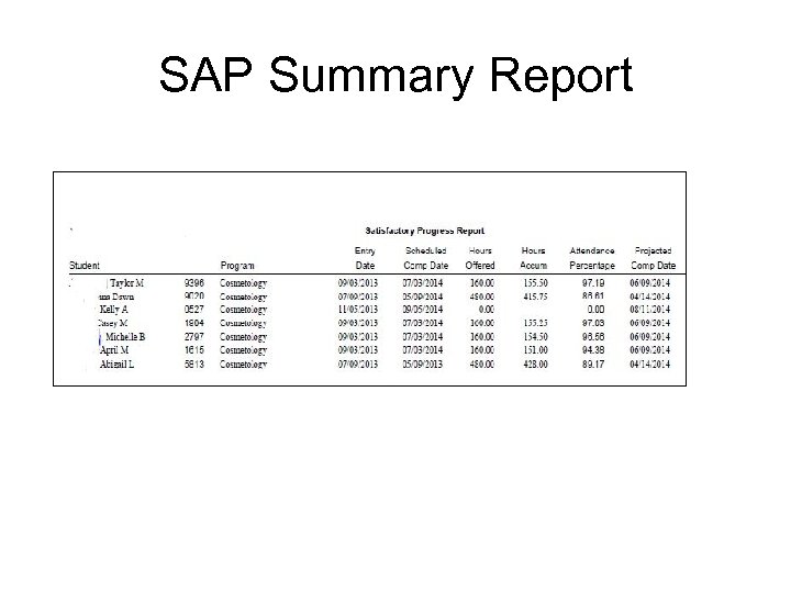 SAP Summary Report 