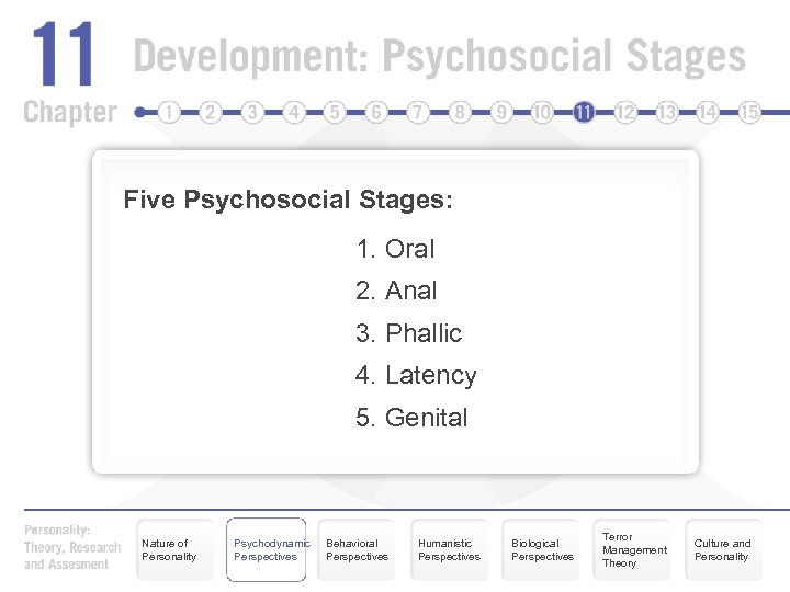 Five Psychosocial Stages: 1. Oral 2. Anal 3. Phallic 4. Latency 5. Genital Nature