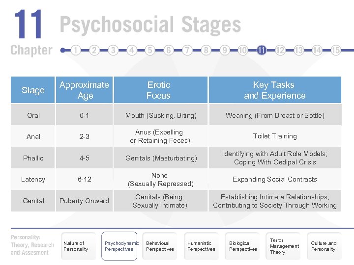 Stage Approximate Age Oral 0 -1 Mouth (Sucking, Biting) Weaning (From Breast or Bottle)