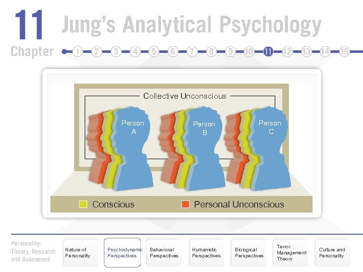 Collective Unconscious Person A Person B Conscious Nature of Personality Psychodynamic Perspectives Person C