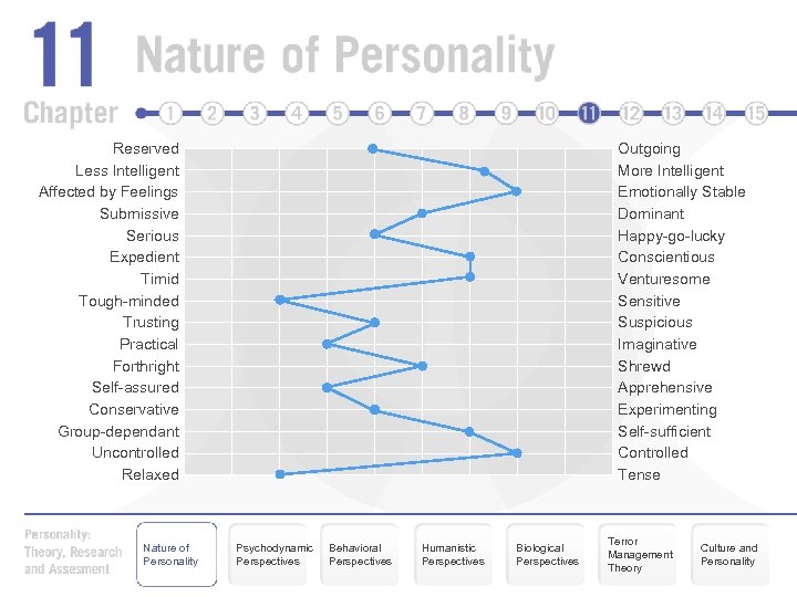 Reserved Less Intelligent Affected by Feelings Submissive Serious Expedient Timid Tough-minded Trusting Practical Forthright