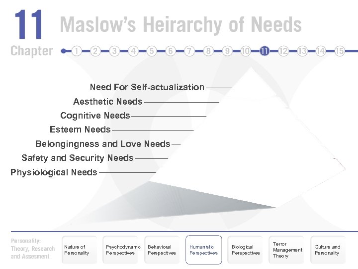 Need For Self-actualization Aesthetic Needs Cognitive Needs Esteem Needs Belongingness and Love Needs Safety