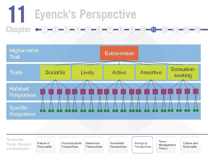Higher-order Traits Extraversion Sociable Lively Active Assertive Sensationseeking Habitual Responses Specific Responses Nature of