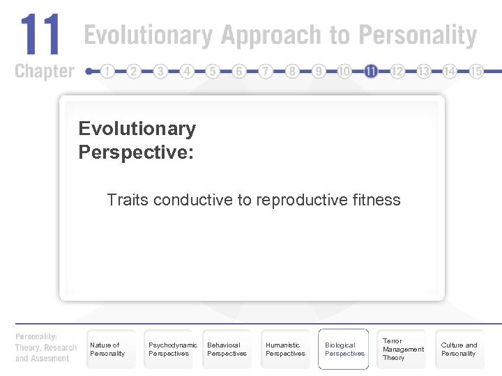 Evolutionary Perspective: Traits conductive to reproductive fitness Nature of Personality Psychodynamic Perspectives Behavioral Perspectives