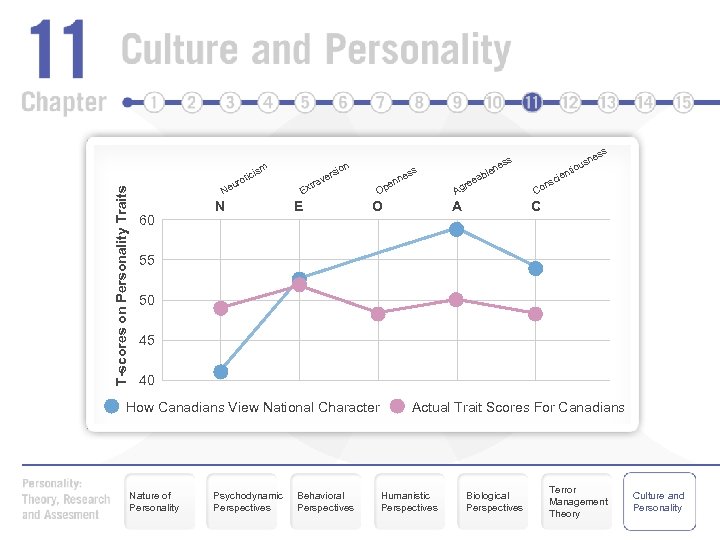 T-scores on Personality Traits m icis rot u Ne 60 N ion ers rav
