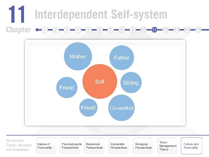 Mother Father Self Friend Nature of Personality Psychodynamic Perspectives Behavioral Perspectives Sibling Co-worker Humanistic