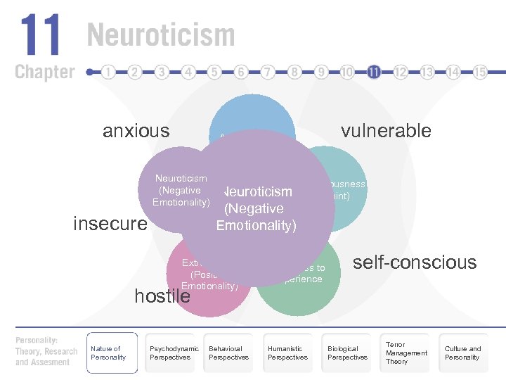 anxious Agreeableness Neuroticism (Negative Emotionality) insecure vulnerable Conscientiousness Neuroticism (Constraint) (Negative Emotionality) Extraversion (Positive