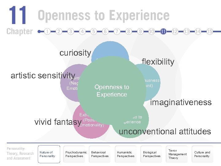 curiosity Agreeableness artistic sensitivity Neuroticism (Negative Emotionality) vivid fantasy Psychodynamic Perspectives Conscientiousness (Constraint) Openness