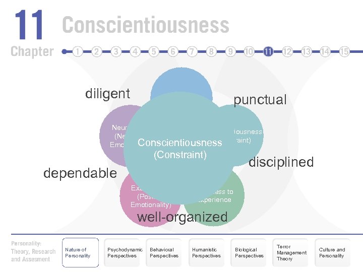 diligent Agreeableness punctual Neuroticism Conscientiousness (Negative (Constraint) Conscientiousness Emotionality) (Constraint) dependable Extraversion (Positive Emotionality)