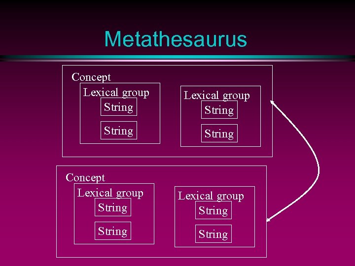 Metathesaurus Concept Lexical group String String 
