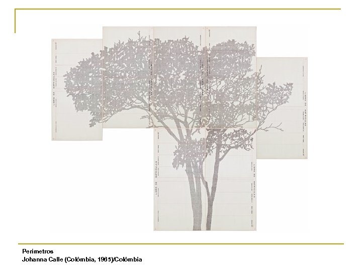 Perímetros Johanna Calle (Colômbia, 1965)/Colômbia 