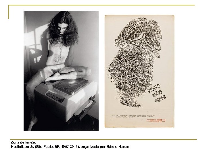 Zona de tensão Hudinilson Jr. (São Paulo, SP, 1957 -2013), organizada por Márcio Harum
