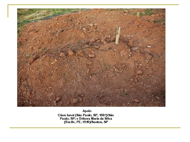 Apelo Clara Ianni (São Paulo, SP, 1987)/São Paulo, SP; e Débora Maria da Silva