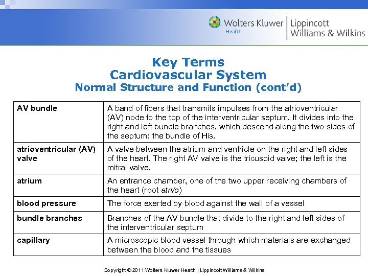 Key Terms Cardiovascular System Normal Structure and Function (cont’d) AV bundle A band of