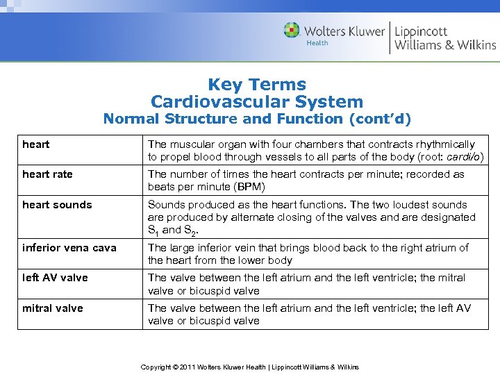 Key Terms Cardiovascular System Normal Structure and Function (cont’d) heart The muscular organ with