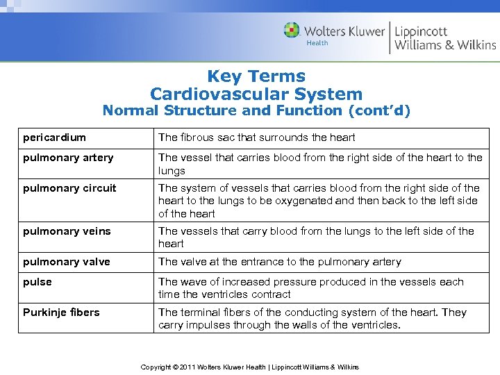 Key Terms Cardiovascular System Normal Structure and Function (cont’d) pericardium The fibrous sac that