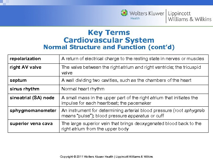 Key Terms Cardiovascular System Normal Structure and Function (cont’d) repolarization A return of electrical