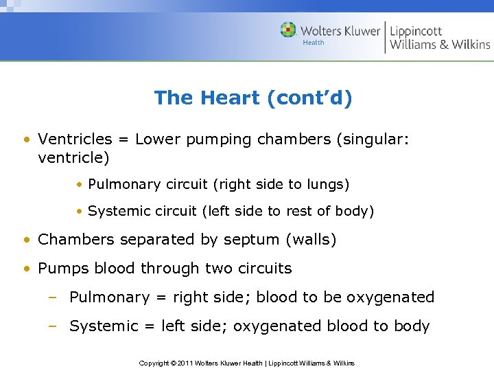 The Heart (cont’d) • Ventricles = Lower pumping chambers (singular: ventricle) • Pulmonary circuit