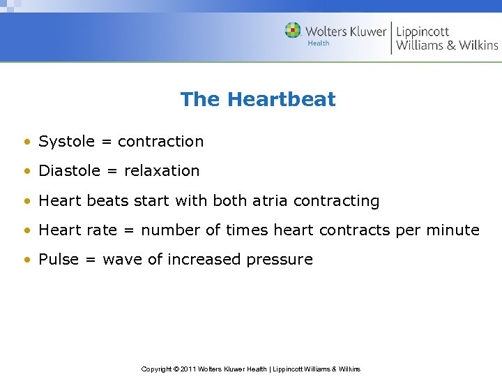 The Heartbeat • Systole = contraction • Diastole = relaxation • Heart beats start