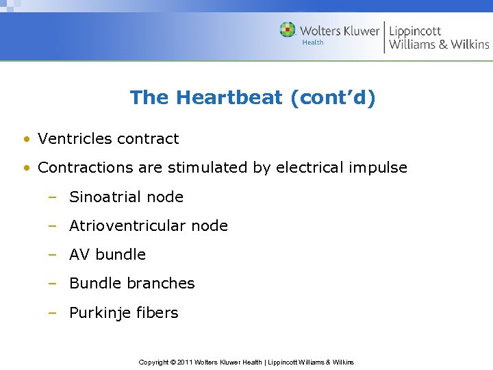 The Heartbeat (cont’d) • Ventricles contract • Contractions are stimulated by electrical impulse –