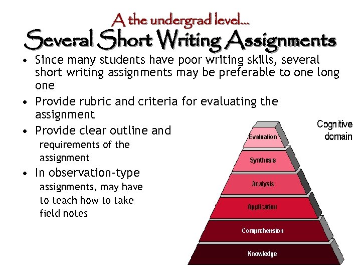 A the undergrad level… Several Short Writing Assignments • Since many students have poor