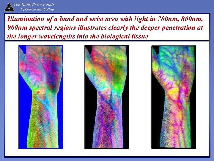 Illumination of a hand wrist area with light in 700 nm, 800 nm, 900