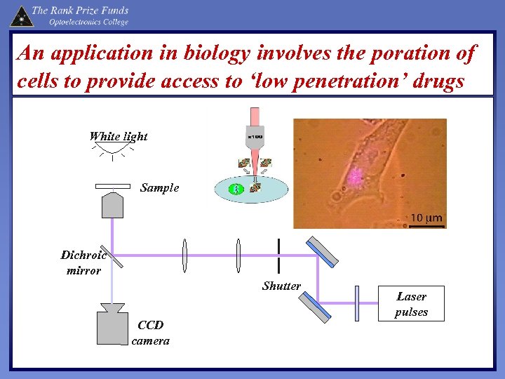 An application in biology involves the poration of cells to provide access to ‘low